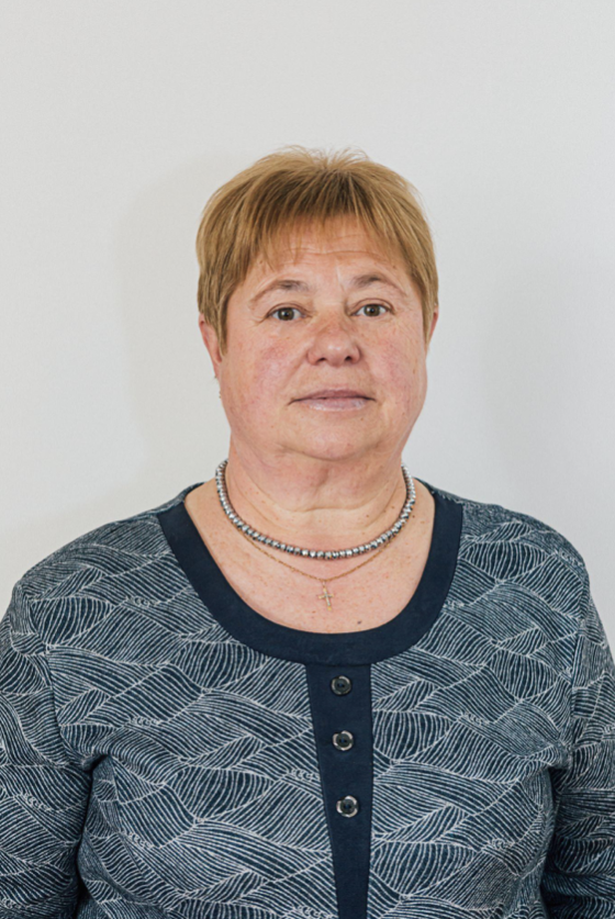 Вчитель історії